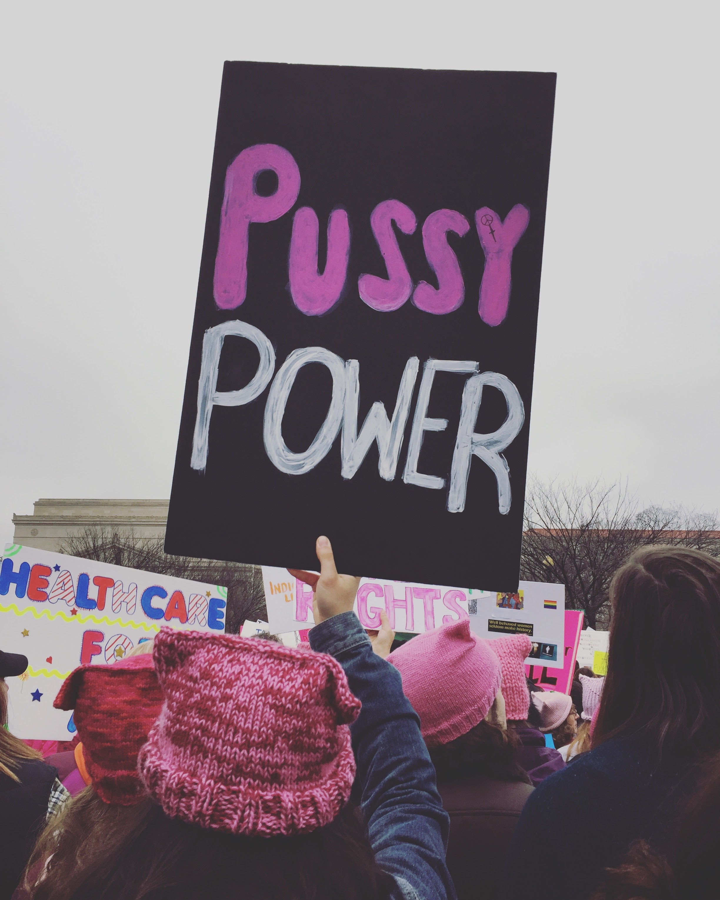 Pussy power. (Photo by author, Women's March on Washington, 2017)