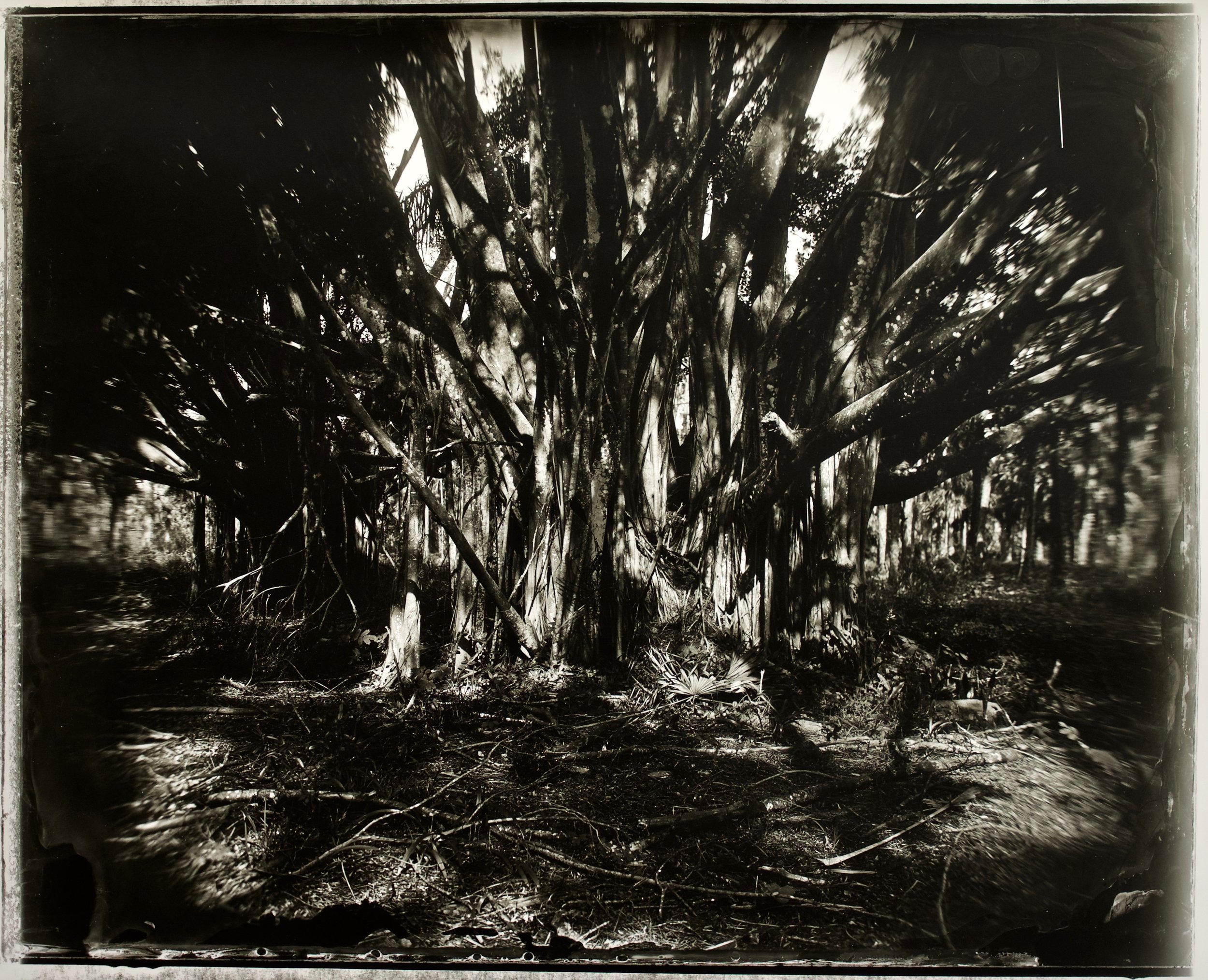 The Sacred and the Mundane 36 in. x 29 in., collodian negative hand printed on Fomatone paper, 2018. #2018-12.jpg