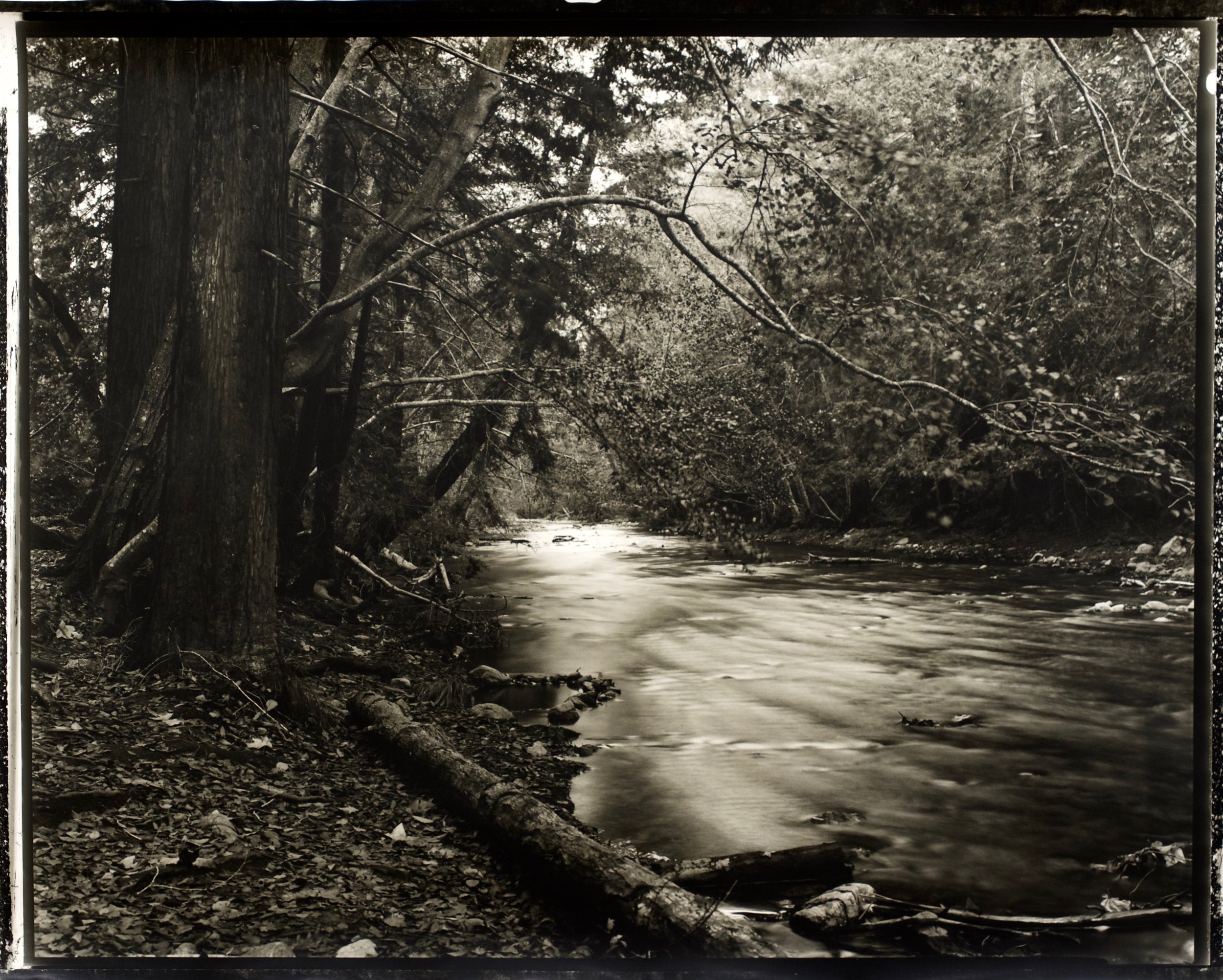 Quiet Water 36 in. x 29 in., hand printed on Fomatone paper, 2018. #2018-15.jpg