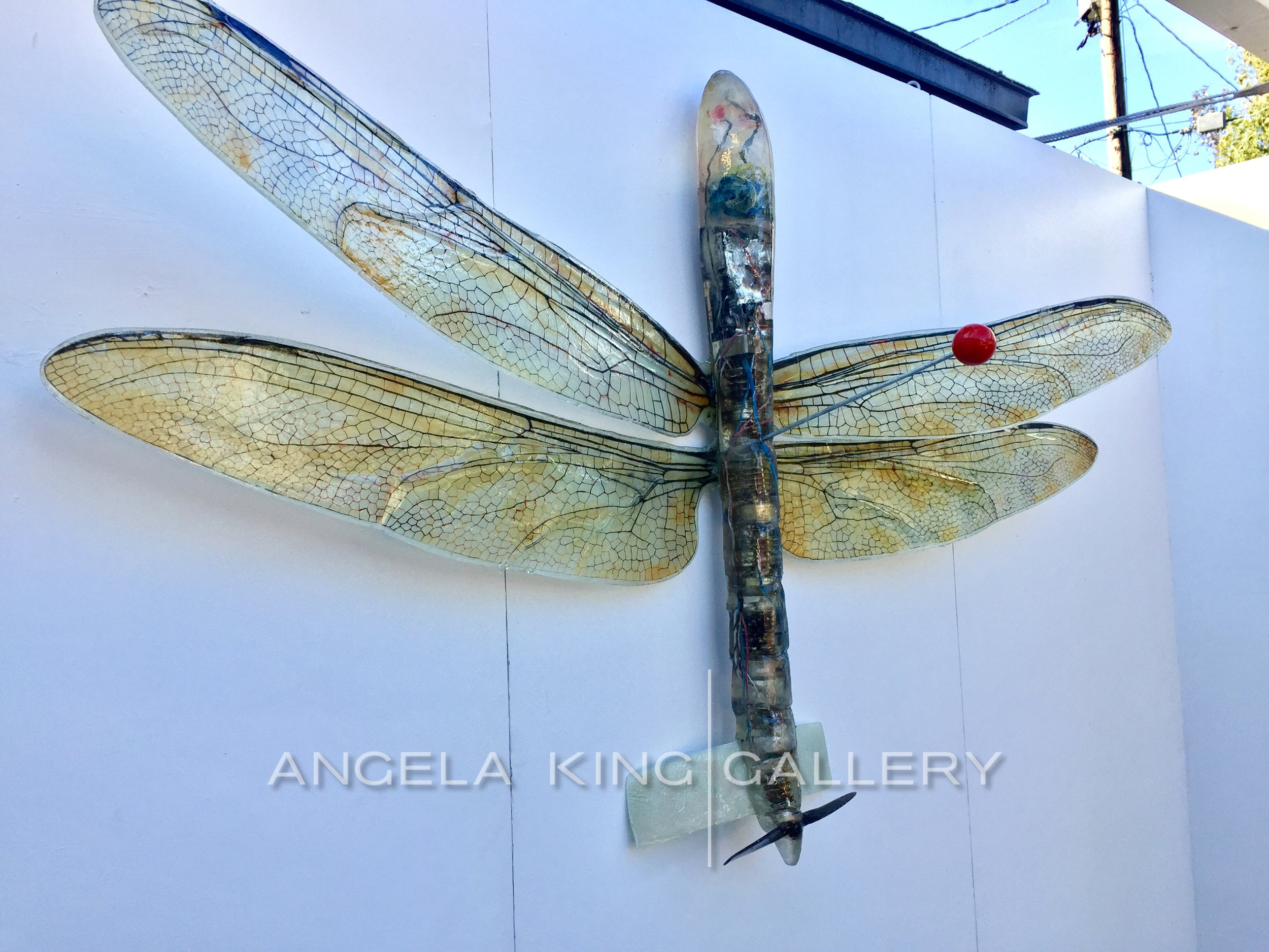 Predator Drone Dragon Fly Specimen 50"x74"