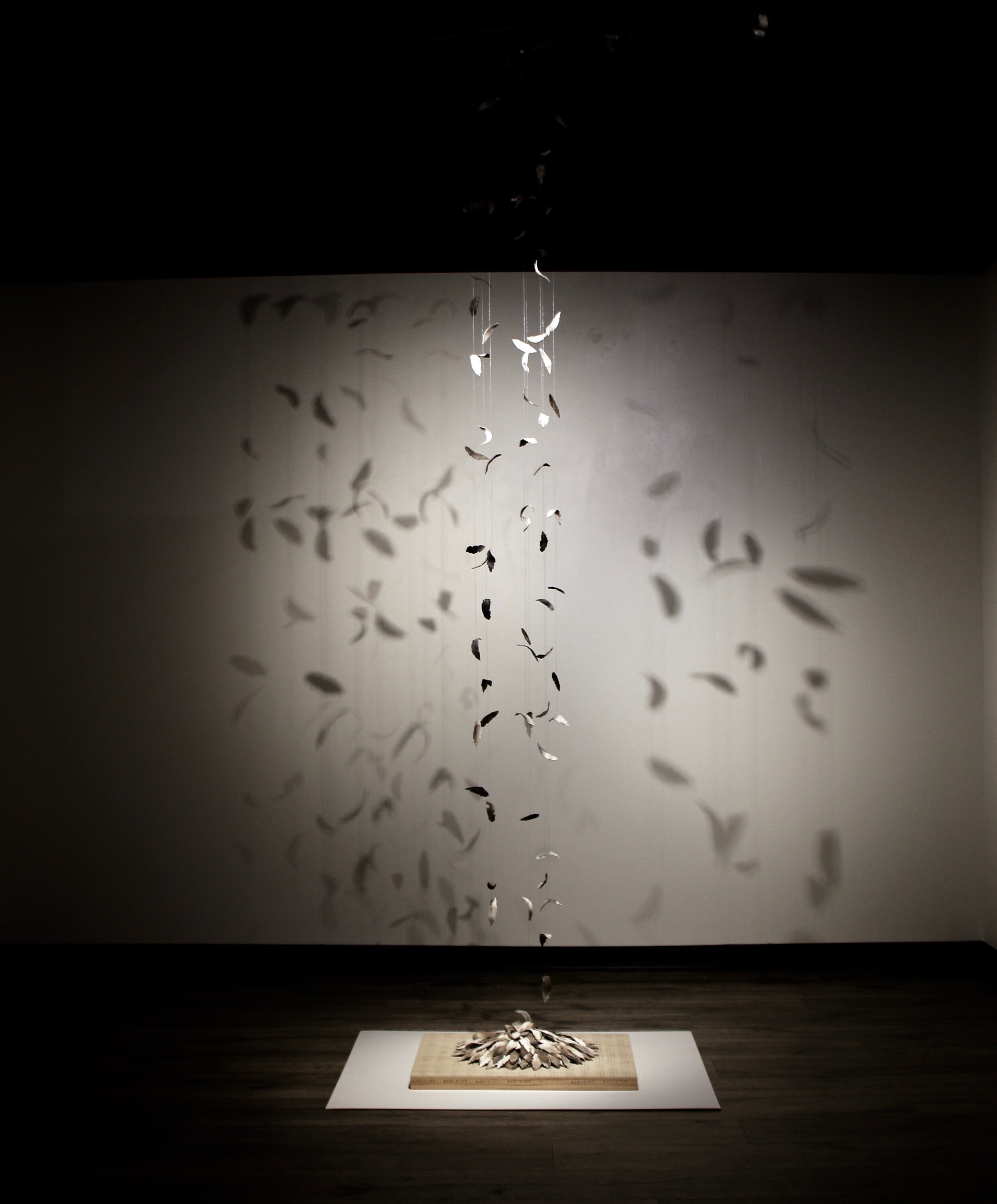 Princess Two Feathers