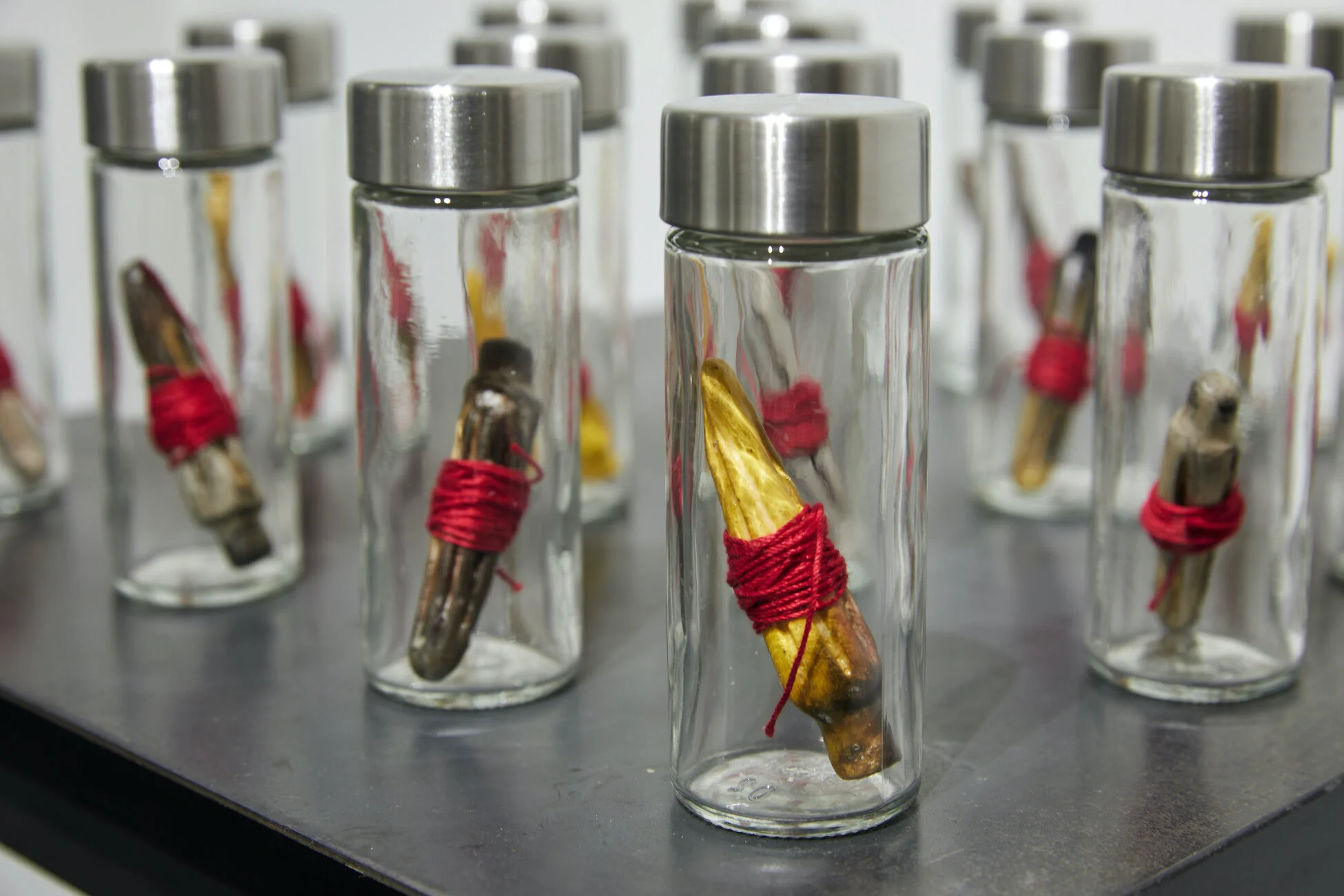 Processed: Missing and Murdered Indigenous Women, Girls and 2S