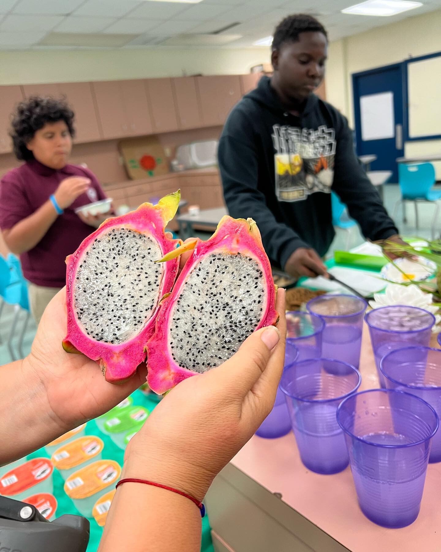 Intro to Food Forests is a two-part workshop where our students will learn how to grow &amp; care for South Florida food forests. We are grateful for this generous opportunity sponsored by the Potamkin Family Foundation and hosted by @littlerivercoop