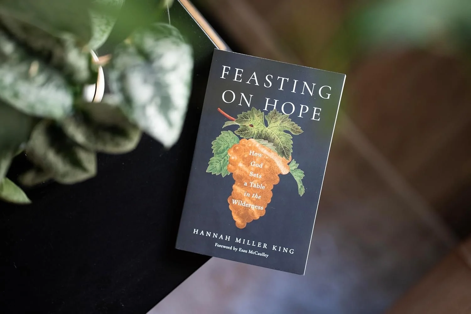 Hannah King book_.jpg