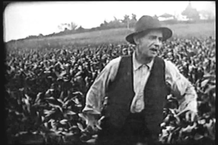 Farmer Perkins