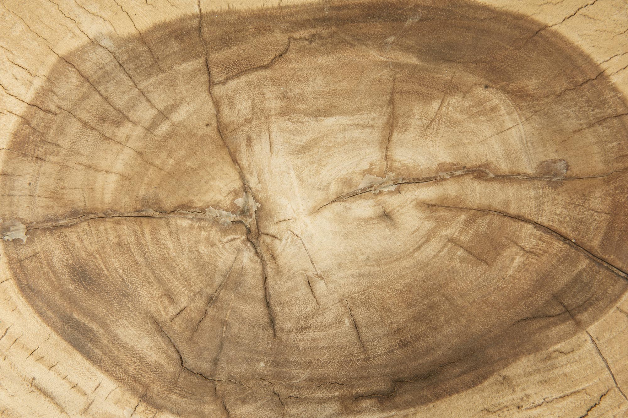Wood background 6 July 2014_32_1.jpg