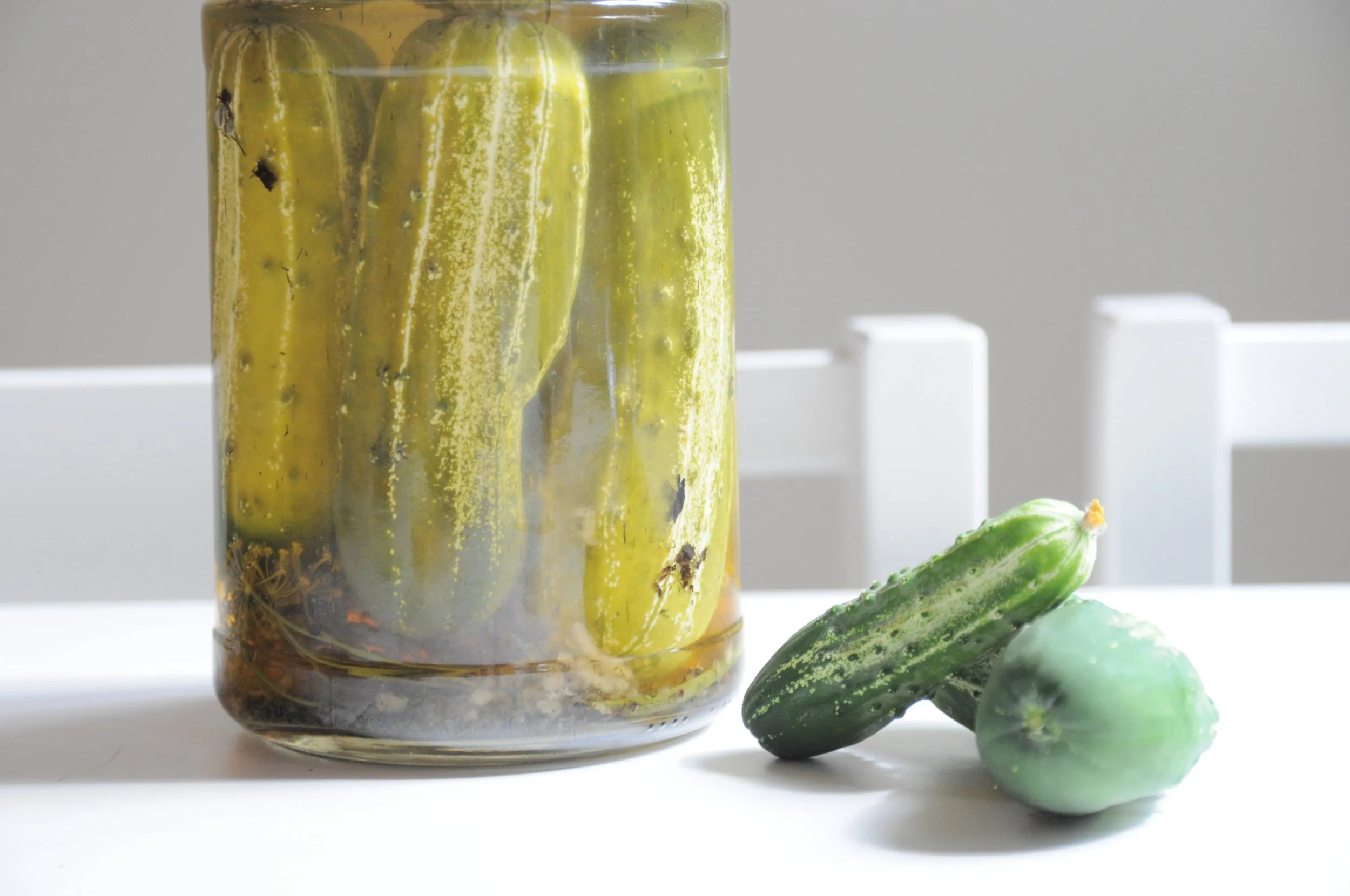 Garden Updates &amp; Lacto-Fermented Garlicy Dill Pickles Recipe