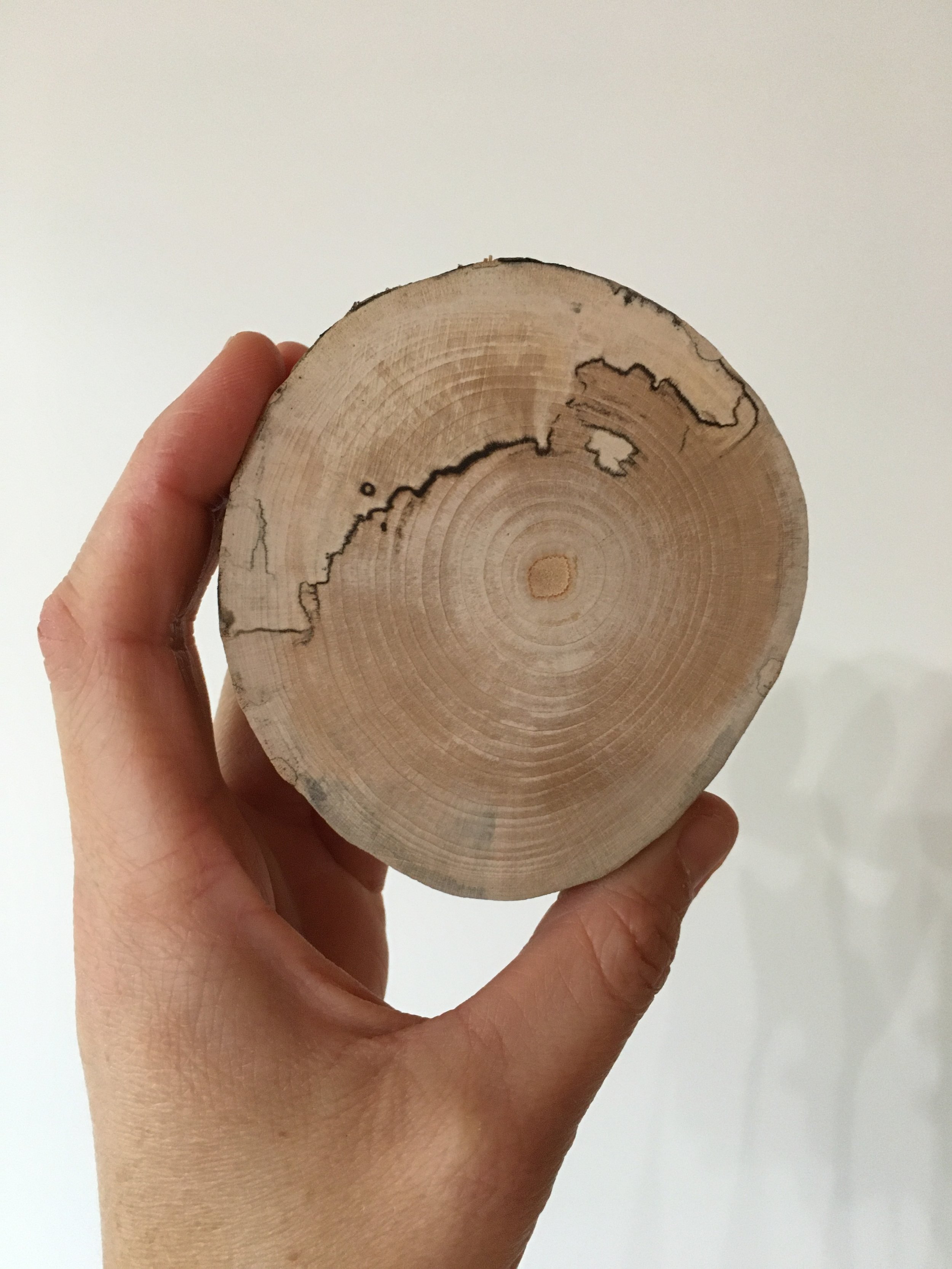 Round Spalted Maple Live Edge Coasters (4)