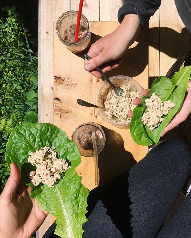 I&rsquo;m looking for any excuse to eat fresh dill, and these tuna wraps were a great vehicle (especially on garden fresh romaine and spinach). Lunch on the deck in the sunshine, made complete with homemade iced coconut mocha coffees ✌🏼