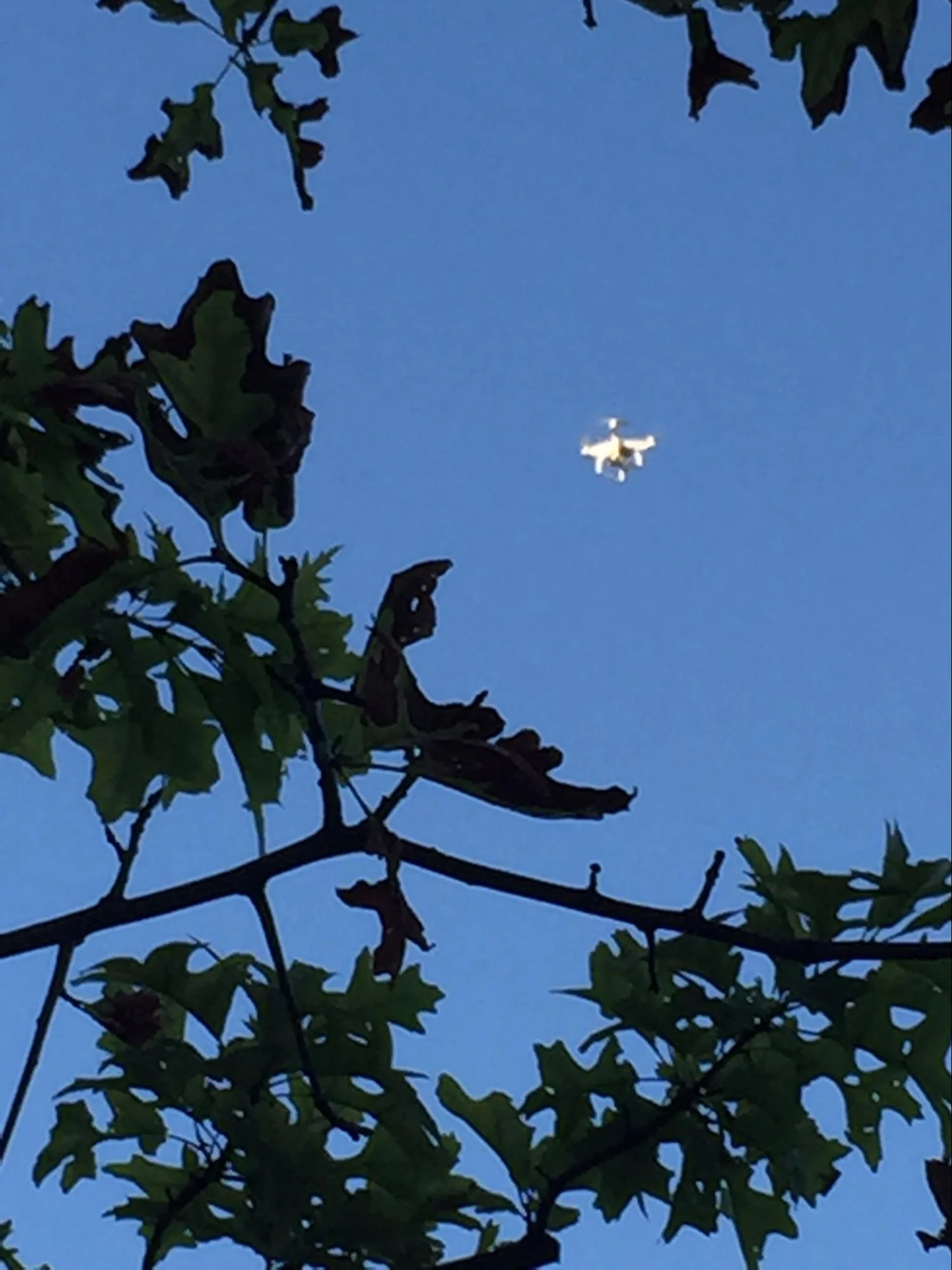 What is believed to be a White Plains, NY, police drone being used at a White Plains rally in July, 2016. Photo by Sue McAnanama.