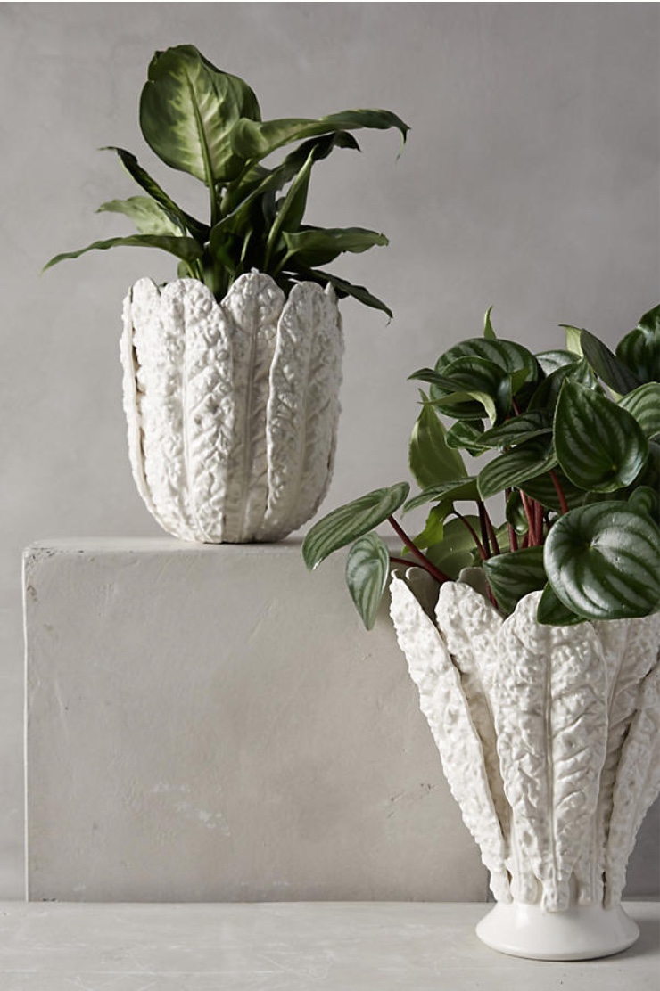 Porcelain Kale Frond Vases