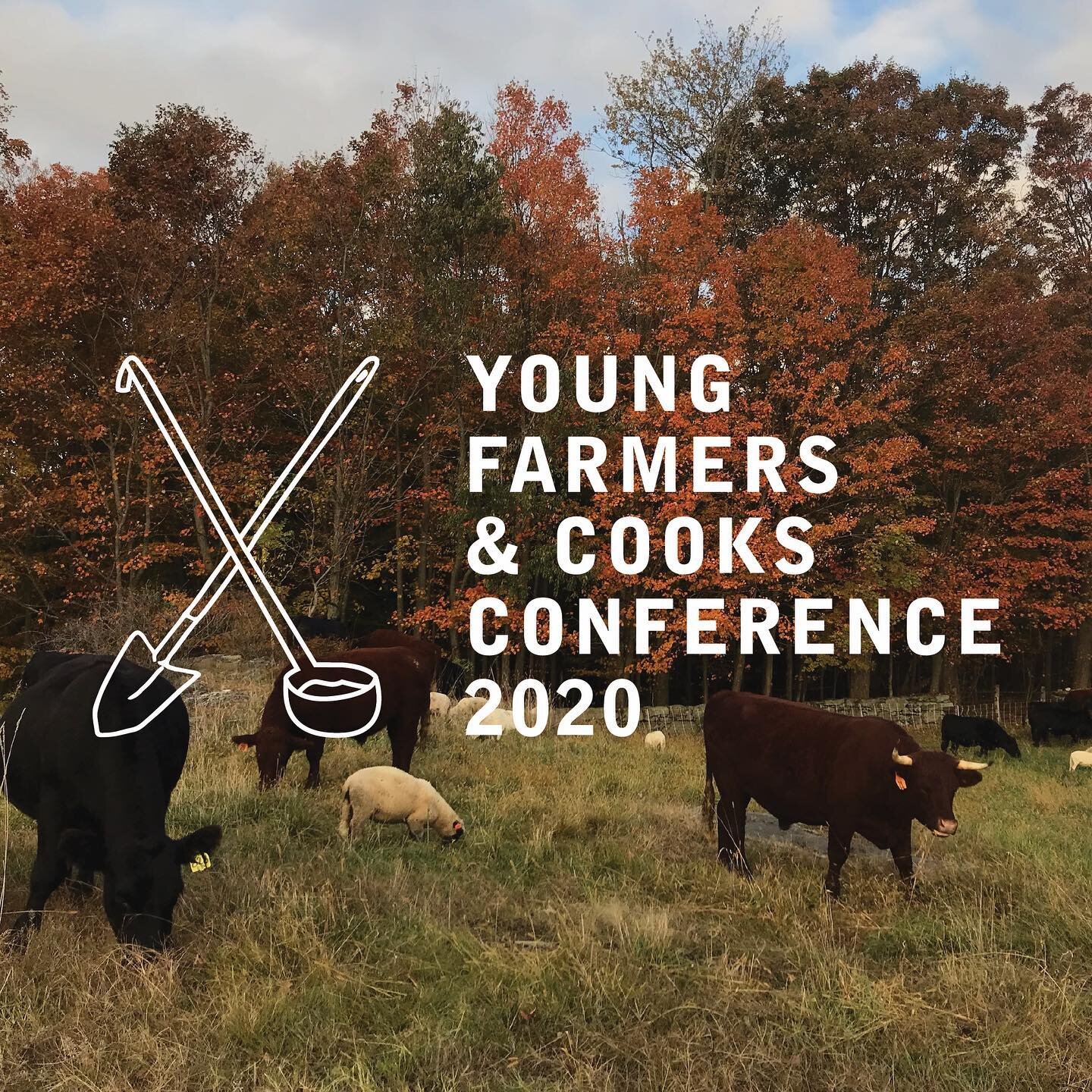 Check out the Young Farmers and Cooks conference @stonebarns next week. I&rsquo;ll be there discussing art and ecology, and how farming, cooking and ceramics are interrelated. If you are interested in attending the virtual conference you can use prom