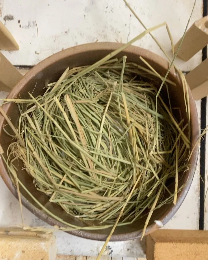 Unglazed stoneware plates fired in rice straw saggar. The surface of each plate is marked by the minerals in the straw. The biogeochemical cycle on a human timescale&mdash; from farm to kiln to table. 

#soil #rice #ricestraw #ceramics #stoneware #ch