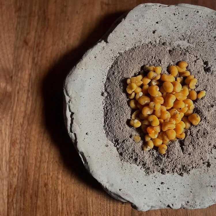 Eight row flint and wood ash on heavily textured stoneware plate. 

@bluehillfarm nixtamalization, a process of soaking corn in an alkali mixture to remove the hull for easier digestion 

@markordaz @familymealatbluehill 

#chef #potter #farmer #eigh