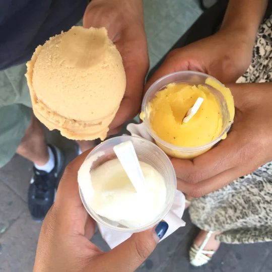 Delicious sorbet from Neveria Roxy