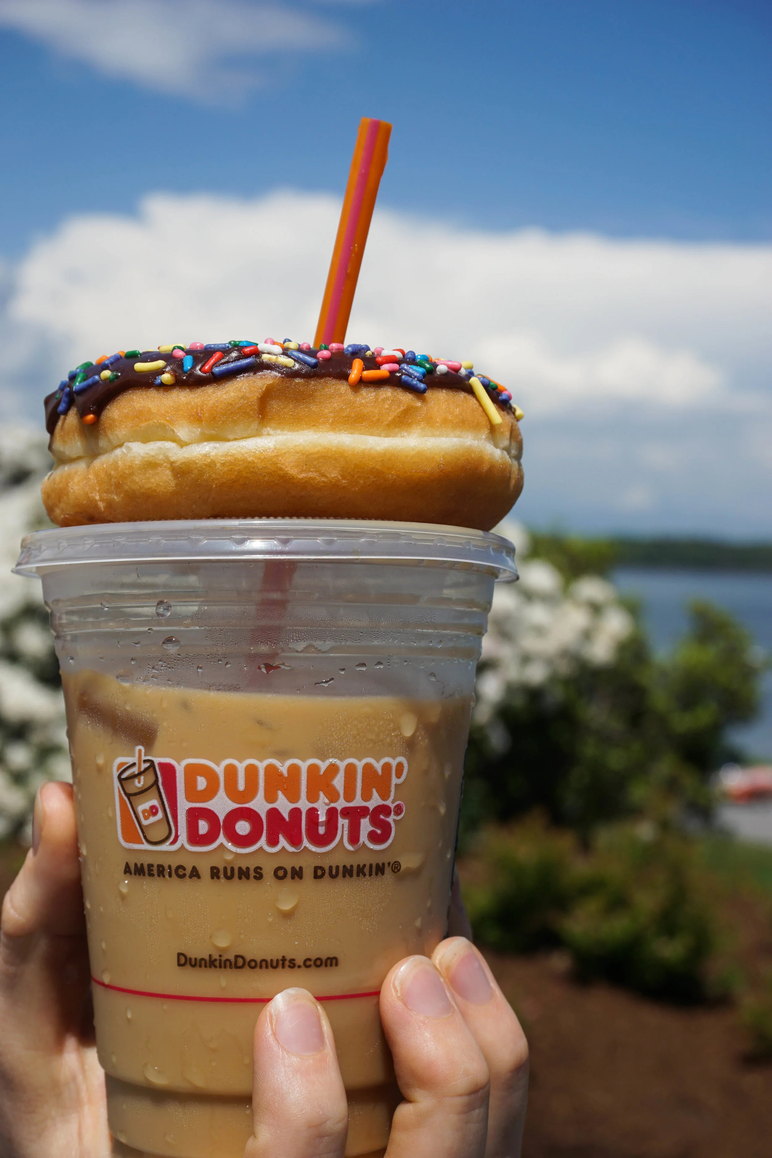  Dunkin Donuts is NECESSARY when on the east coast...so I had it twice 