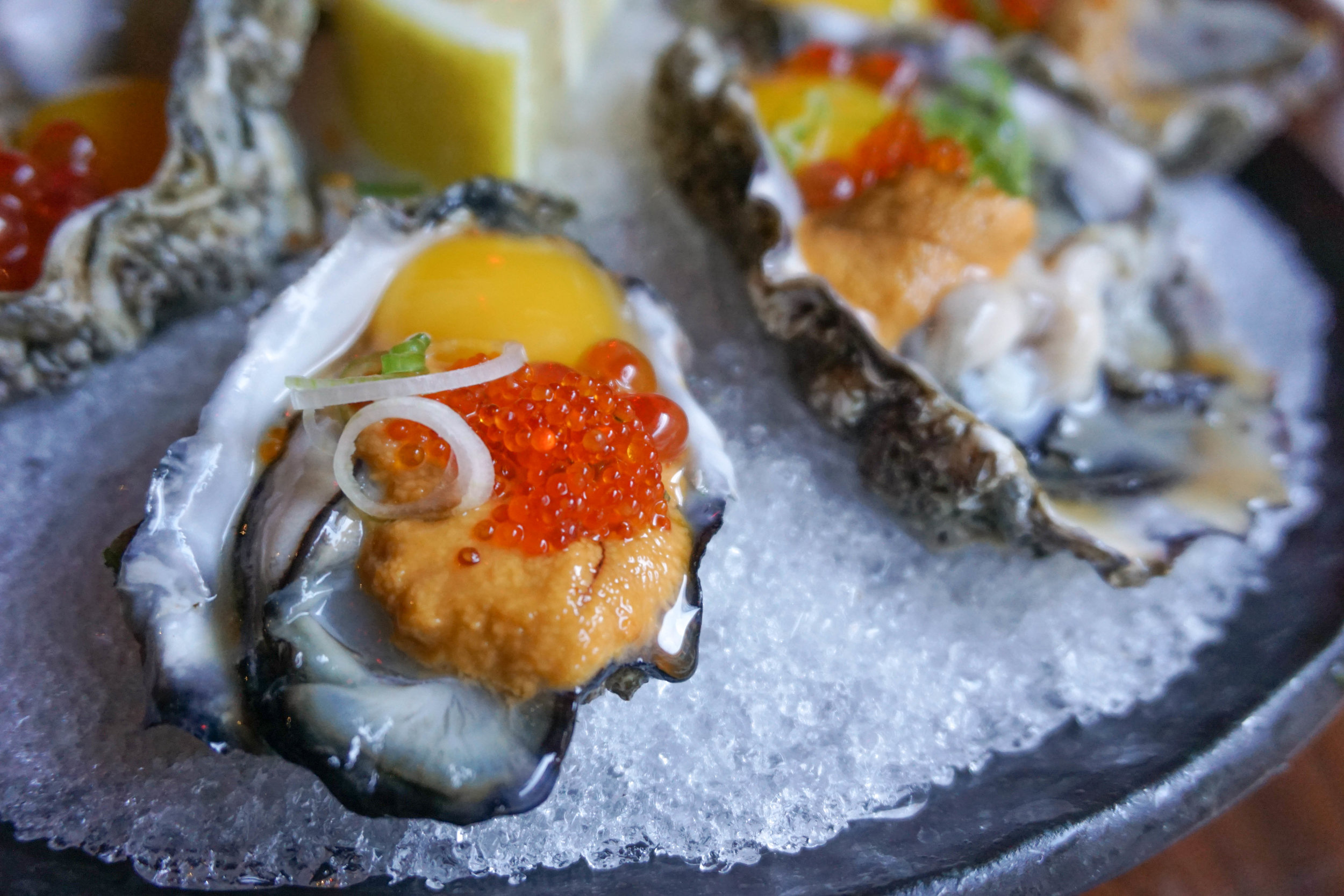  These oysters came with quail egg and roe—so good! 