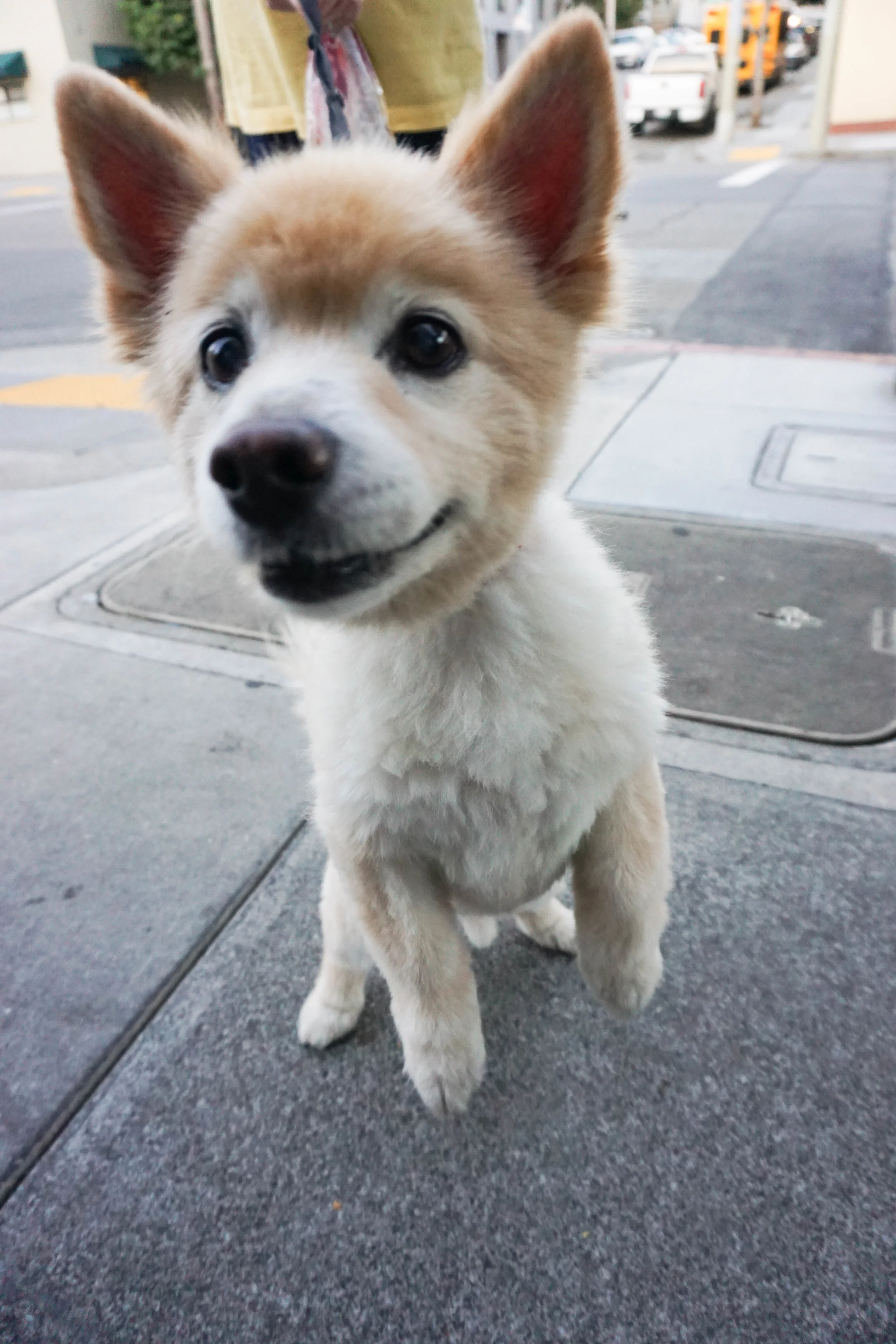 So freakin adorable!