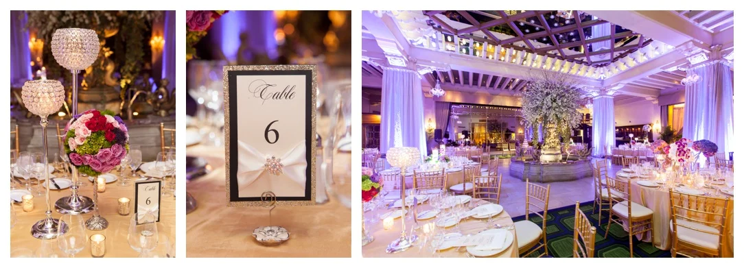 the-drake-hotel-chicago-wedding-photos