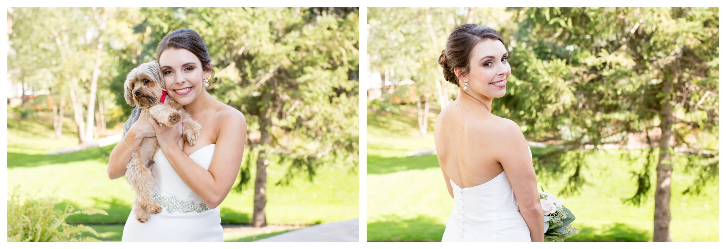 bride-dog-chicago