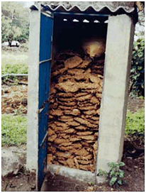 Toilet building used for storing cow dung cakes in India (Photo by Shantanu Gupta 2011)