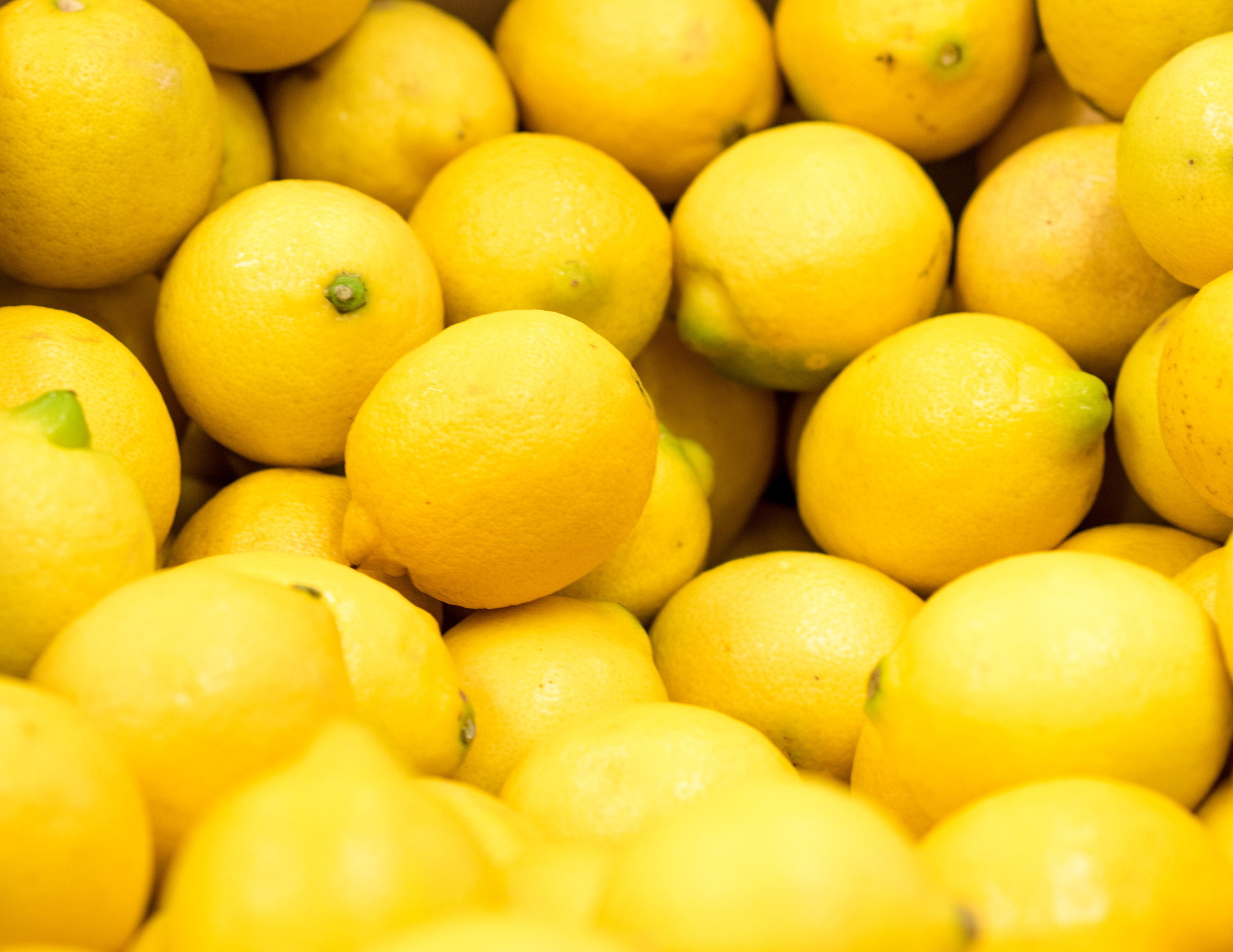 lemons (1 of 1).jpg
