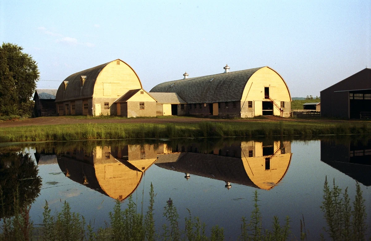 11-Dairy Farm.jpg