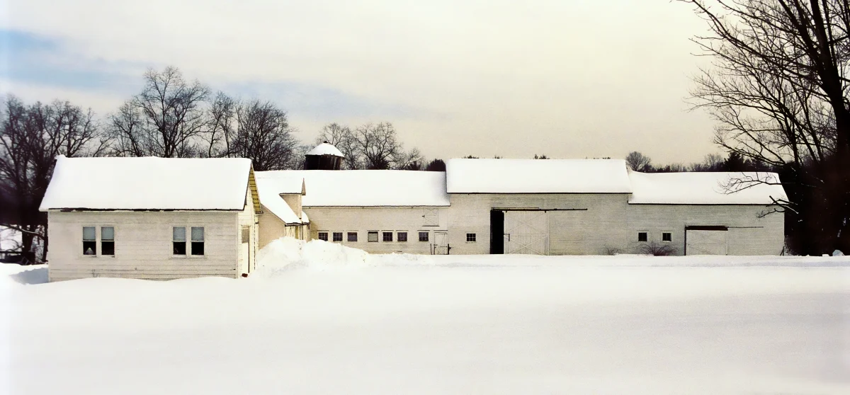 02- Winter.jpg