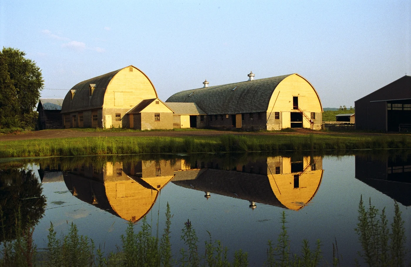 2804 - Twin Barns and Cow Pond web edit JW.jpg