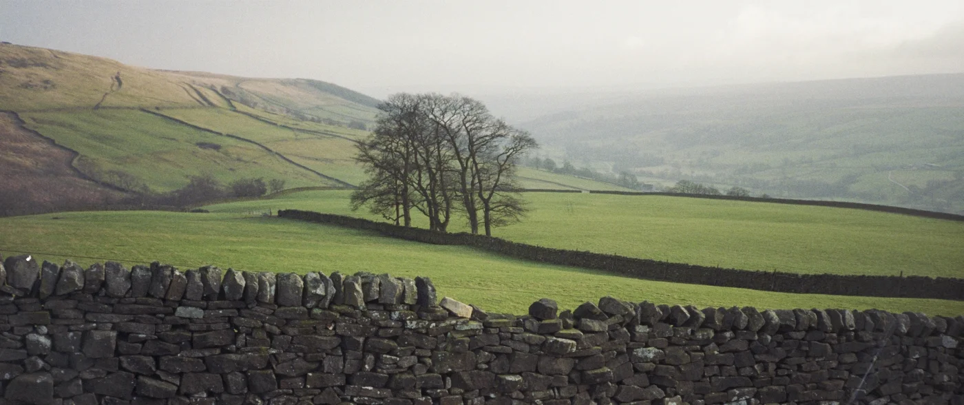 2777 - Yorkshire Glenn.jpg
