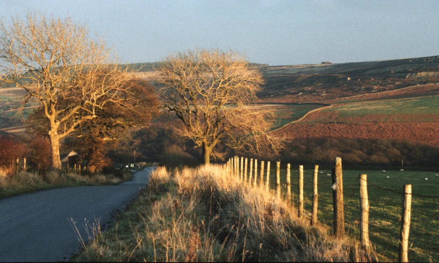 2900 - Yorkshire Roadside at Sundown.jpg