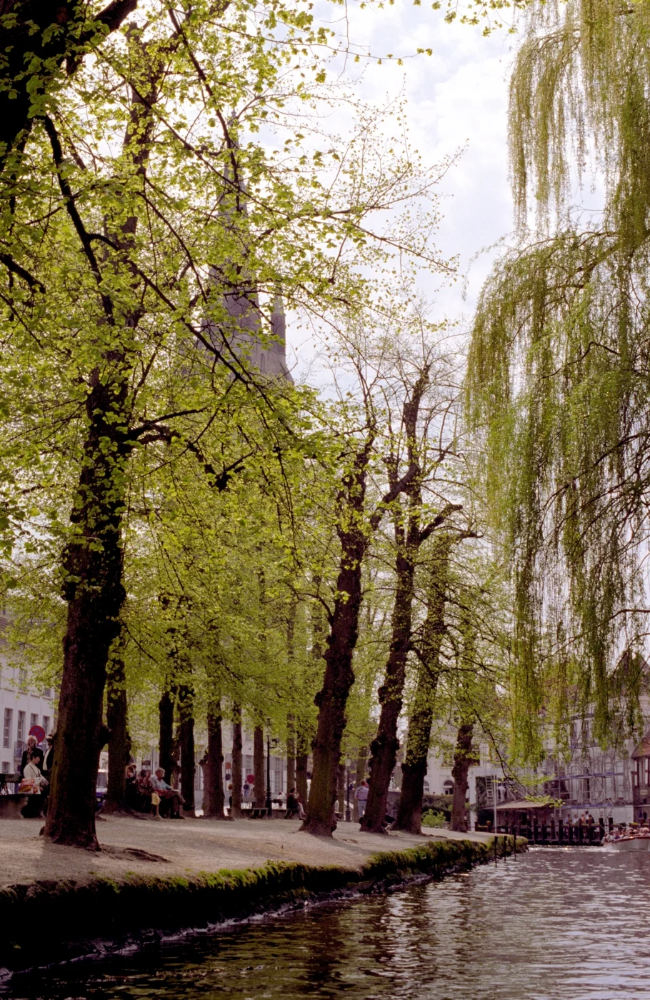 981 - Bruges Canal .jpg