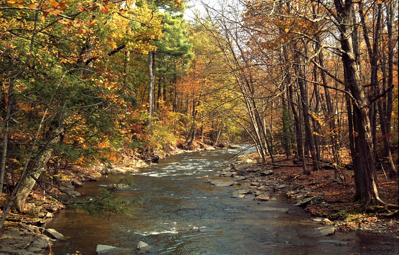 2692 - Autumn on Sawkill Creek.jpg