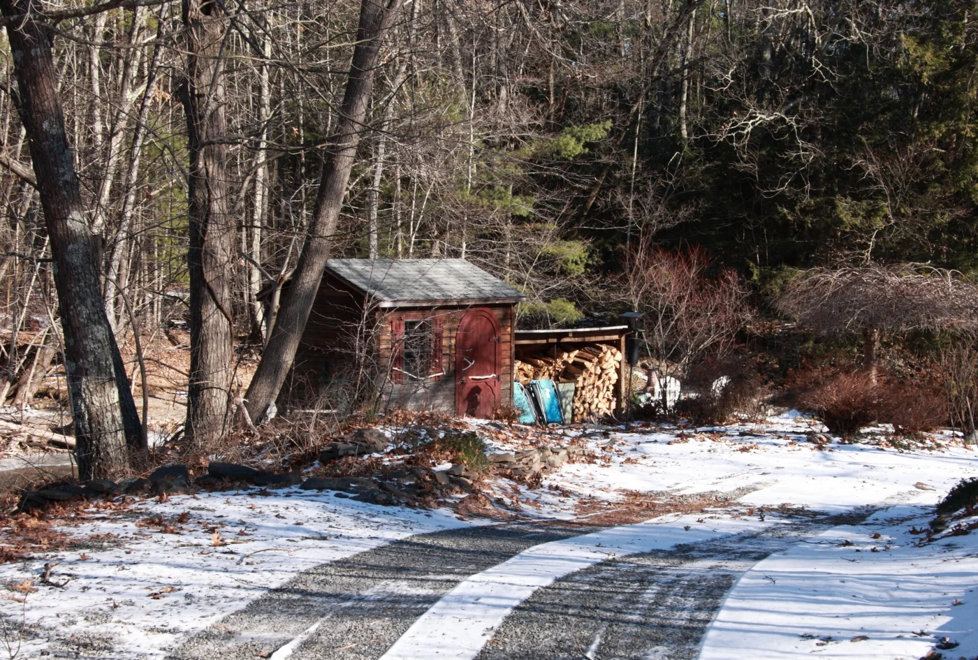 8156 - Wood Pile on Zena Road .jpg