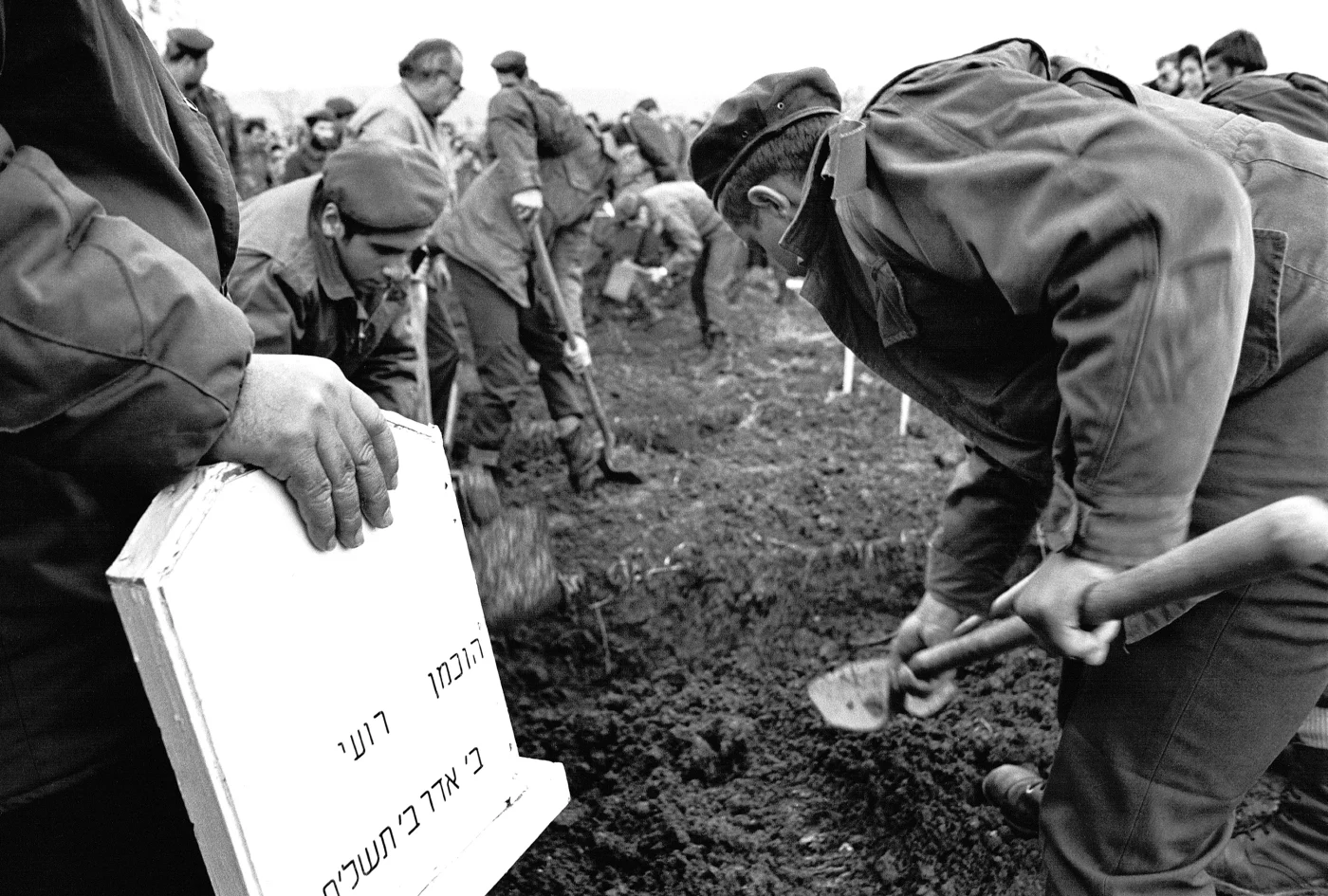 A Grave for Victims of Terrorists.jpg