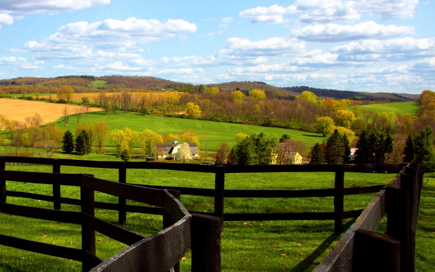 Fences Field Farm Houses 3 crop_9012 F rml edits web 1 copy.jpg