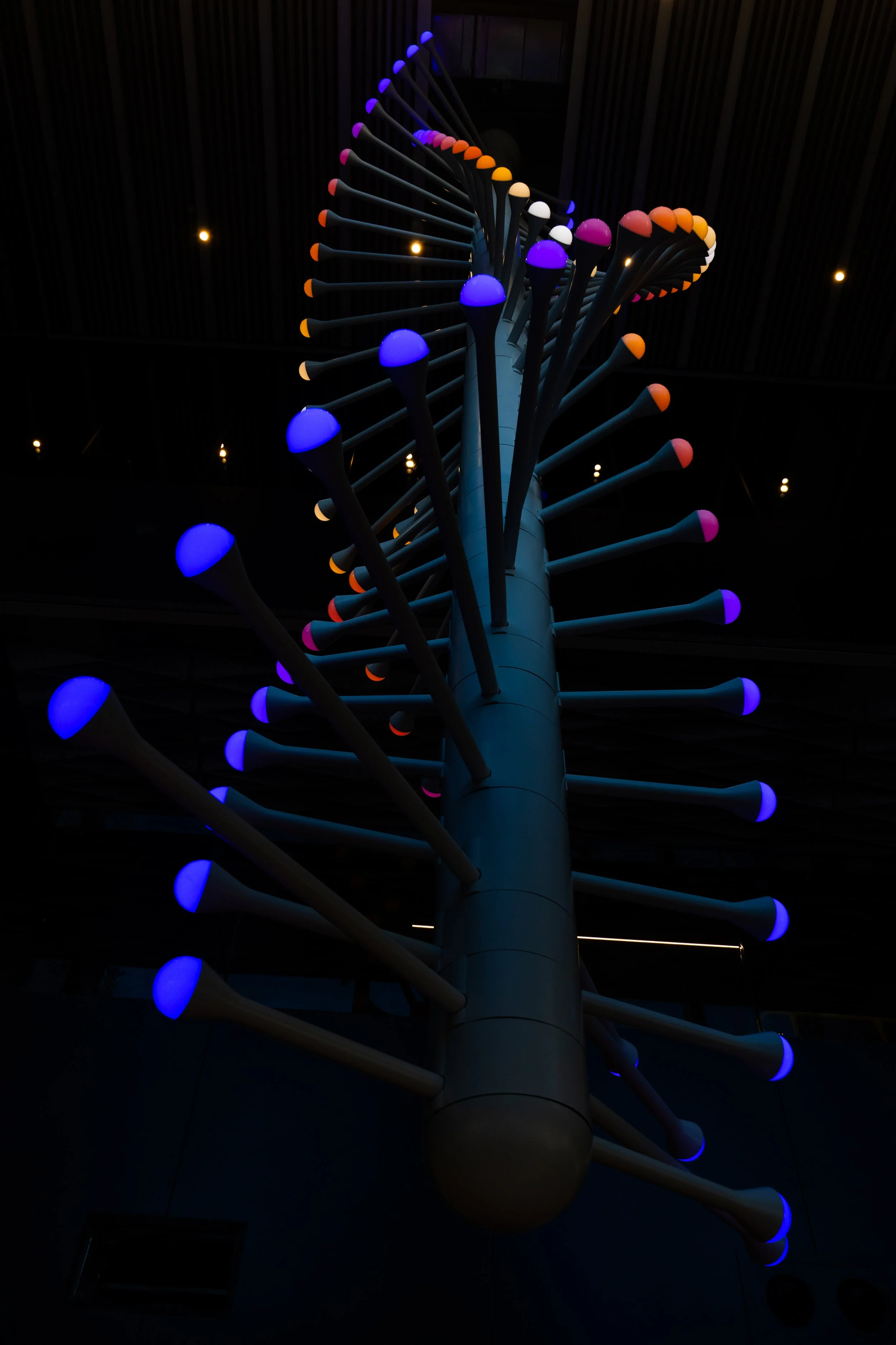 VT_Pfizer_946.jpg