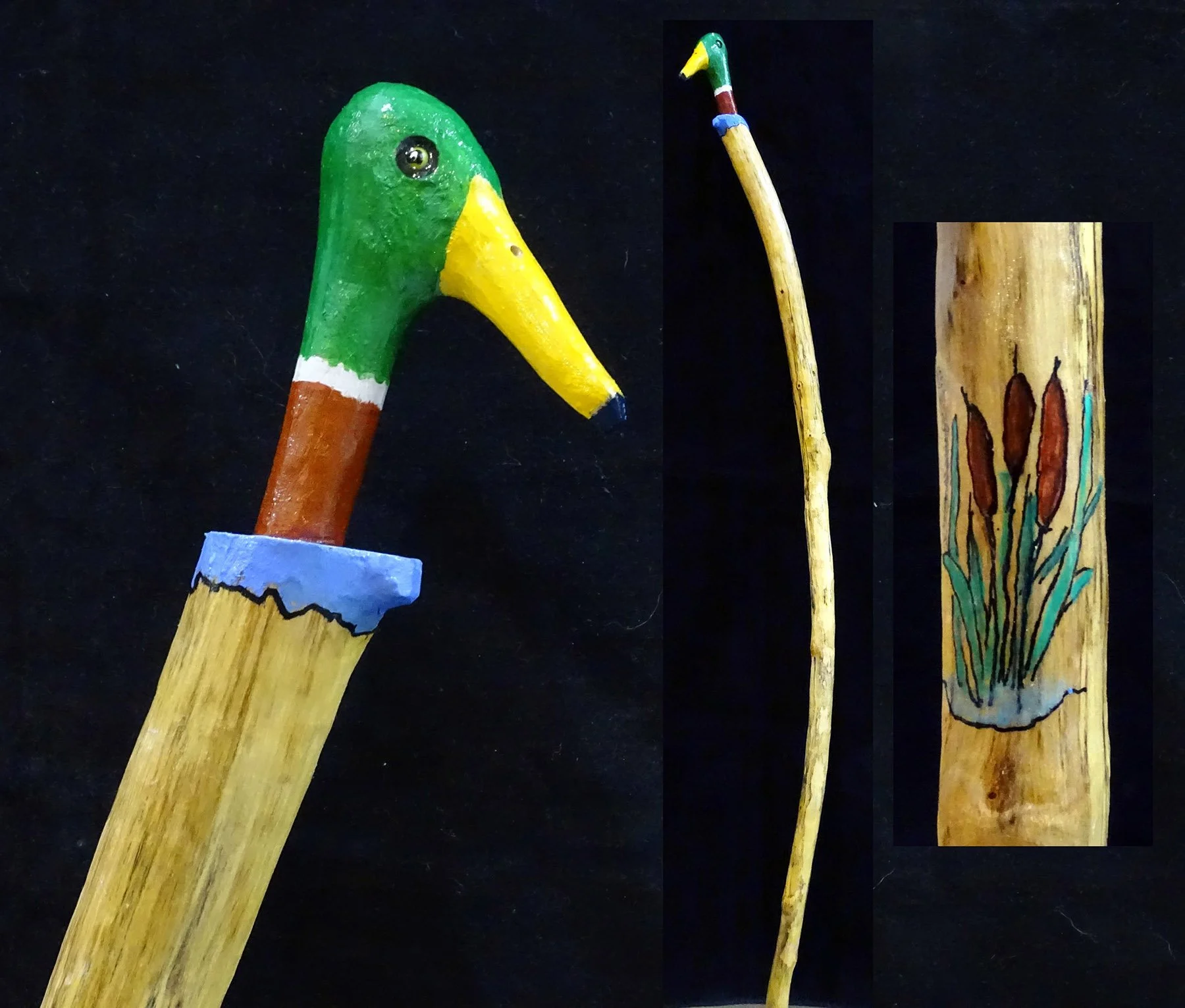 Ifit_Mallard Duck.jpg