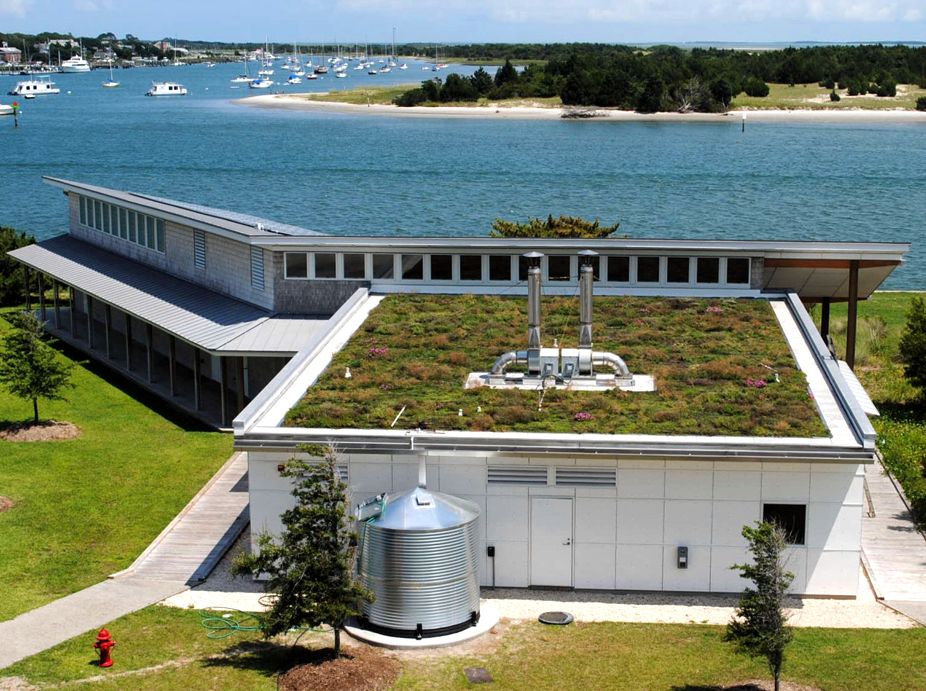 Duke Univ Ocean Conservation Center.jpeg