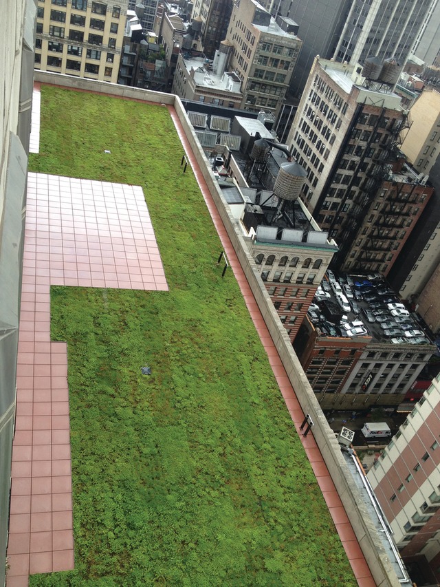 Empire State Bldg.jpeg