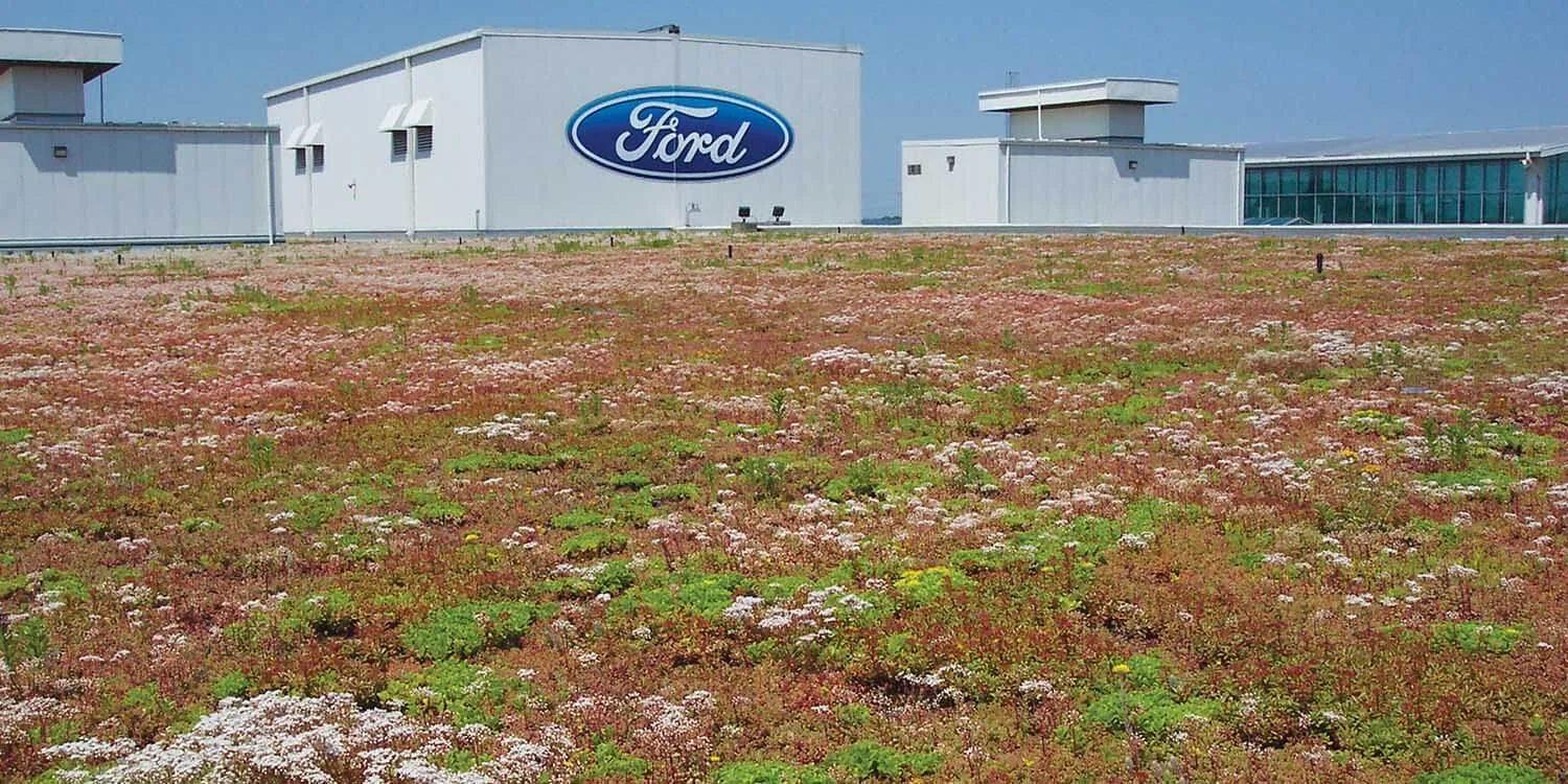 ford-green-roof.jpg
