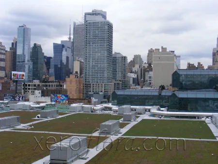 Xero-Flor-Green-Roof-Projects-Javits-1.jpg