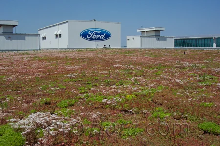 Xero-Flor-Green-Roof-Projects-Ford-2.jpg