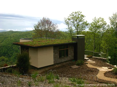 Xero-Flor-Green-Roof-Projects-Brevard-1.jpg