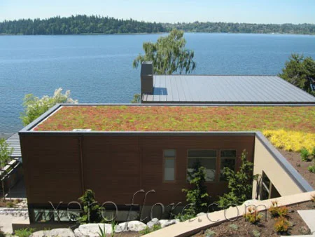 Xero-Flor-Green-Roof-Projects-Mercer-Isand-WA-Residence-1.jpg
