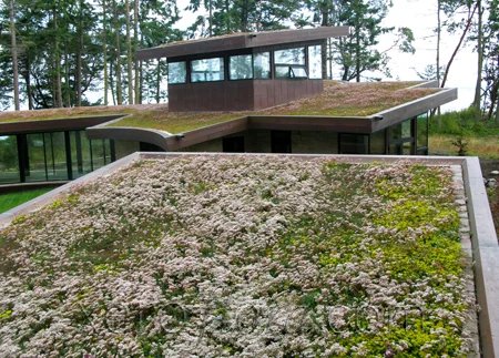 Xero-Flor-Green-Roof-Projects-Port-Townsend-3.jpg