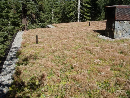 Xero-Flor-Green-Roof-Projects-Tahoe-City-CA-1.jpg
