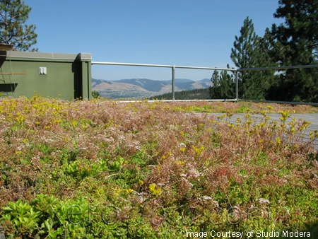 Xero-Flor-Green-Roof-Projects-Tower-House-2.jpg