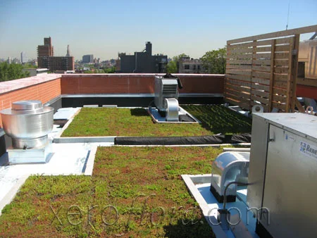 Xero-Flor-Green-Roof-Projects-5th-Ave-Brooklyn-2.jpg