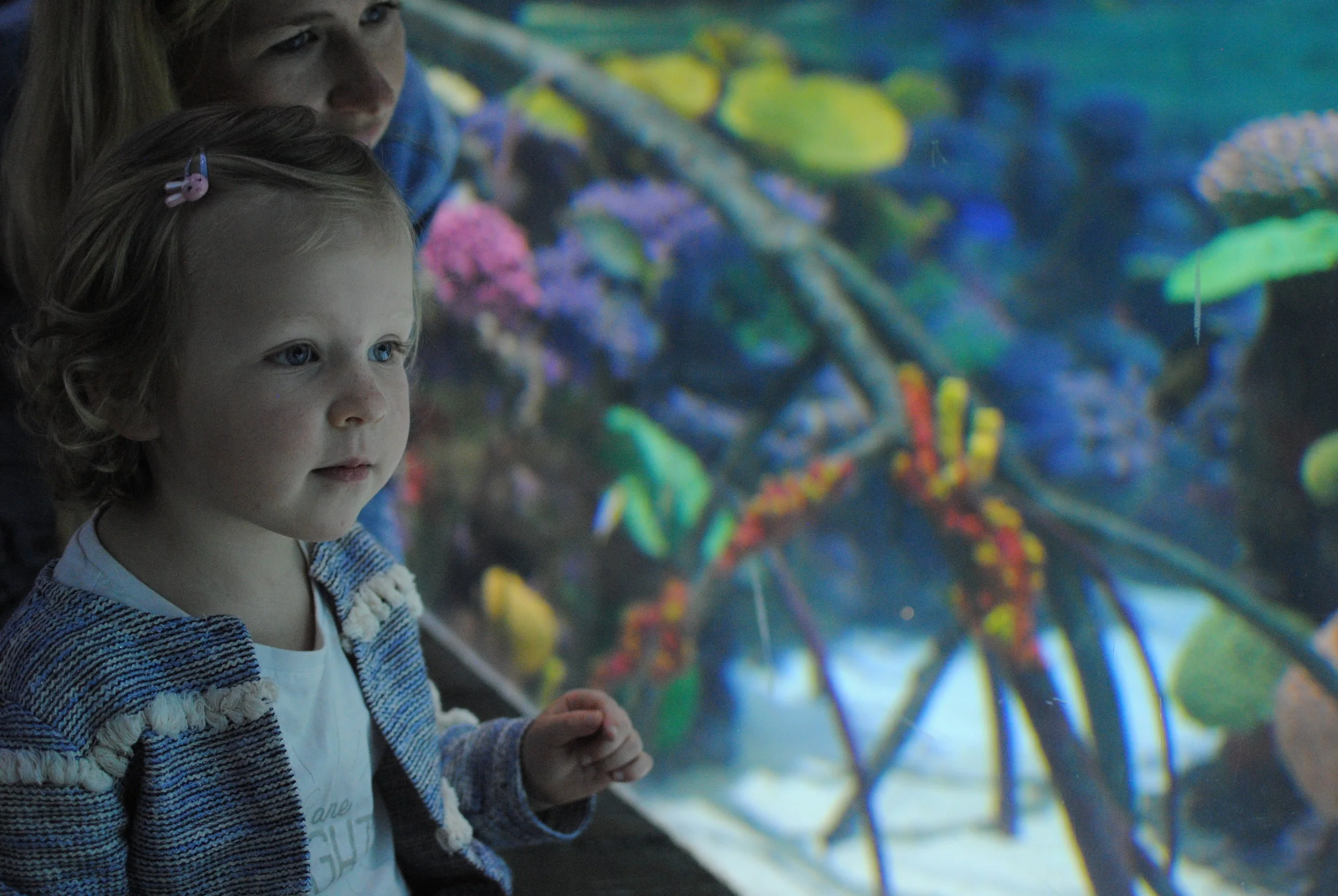 Zambulléndose en The Deep